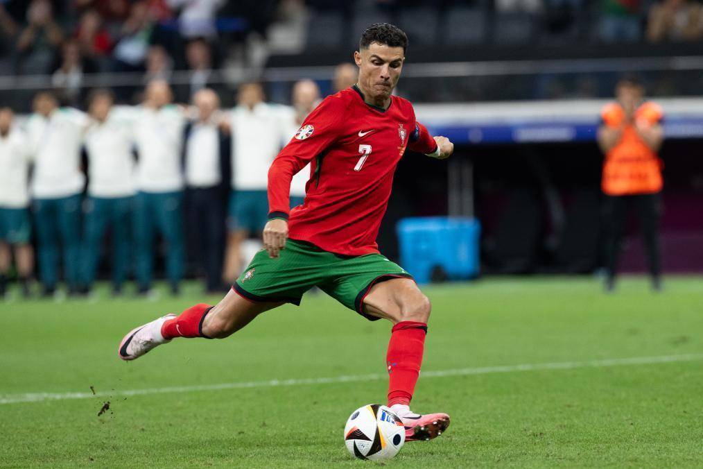 进行细致养 进行细致养