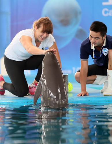 性的重视 性的重视