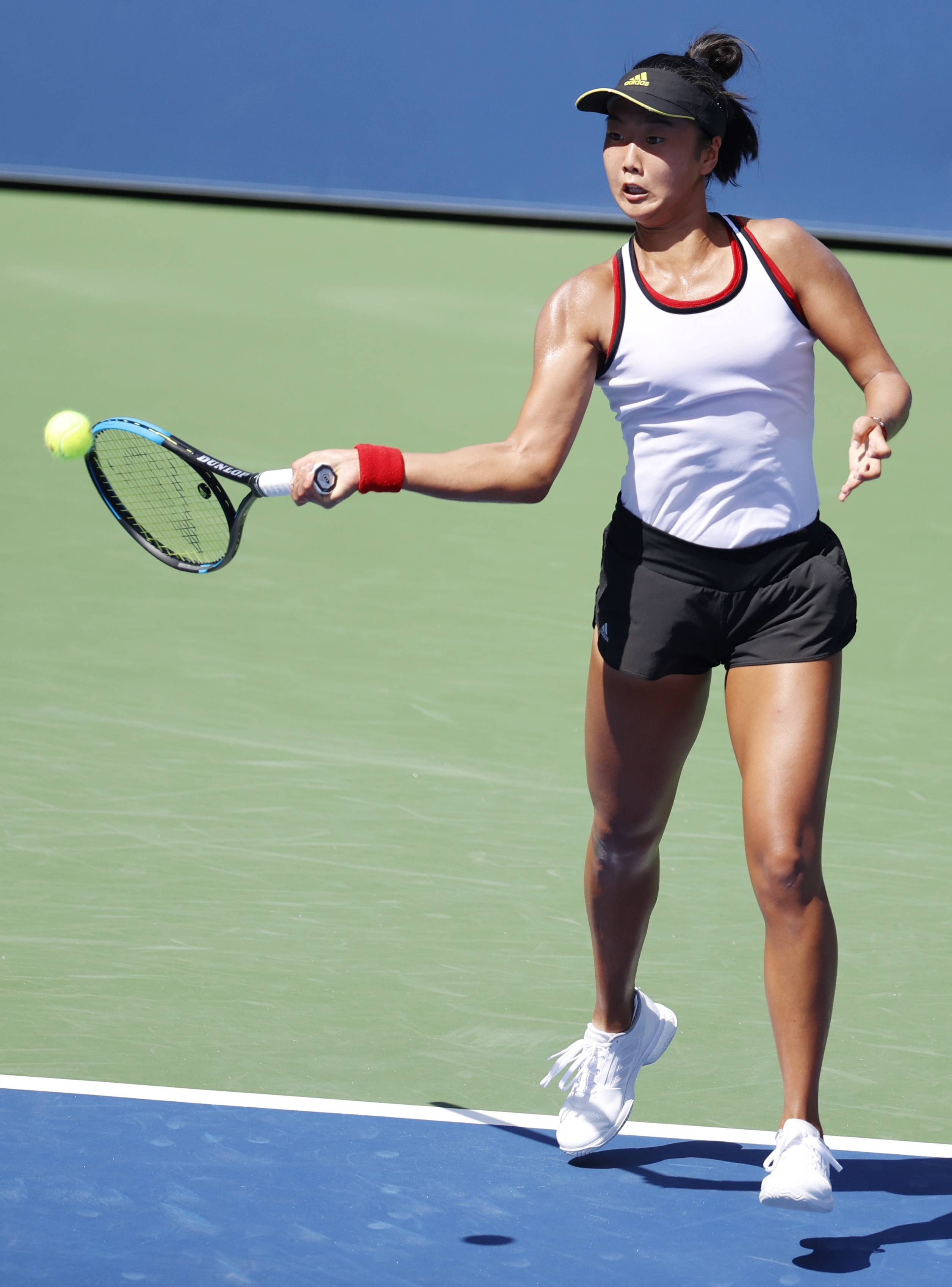 普及度较高 普及度较高